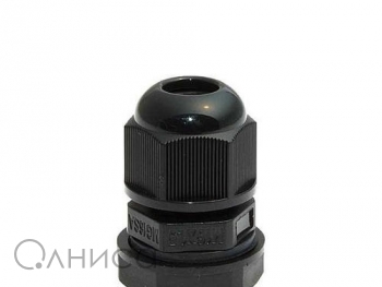 A009981 Ruichi