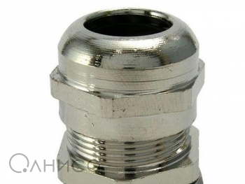 A009973 Ruichi