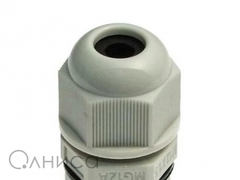 A009969 Ruichi