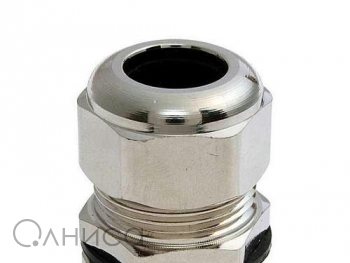 A009955 Ruichi