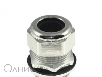 A009935 Ruichi