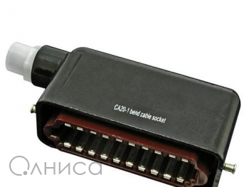 A006807 Ruichi