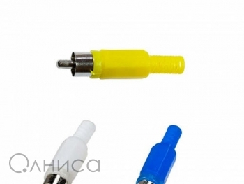 A016289 Ruichi
