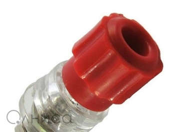 A007206 Ruichi