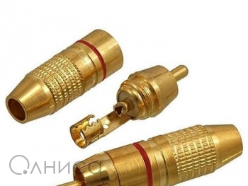 A005737 Ruichi
