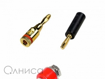 S10080071257 KLS