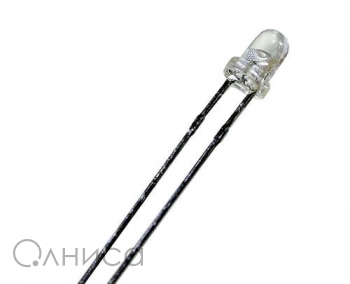 W53684 Kingbright