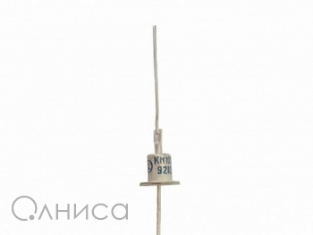 S10080059252 Nexperia