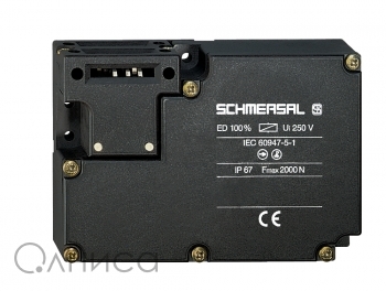 AZM 161SK-12/12RKEU-110/230 Schmersal