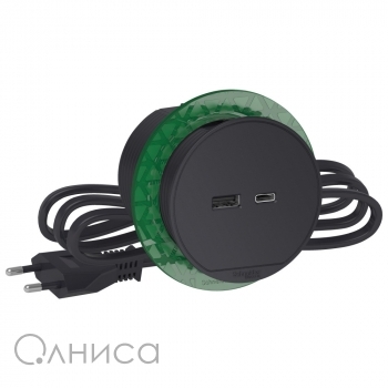 INS44009 Schneider Electric