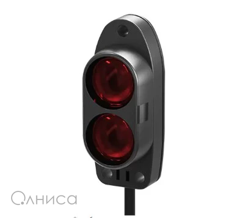 BA2M-DDTD Autonics