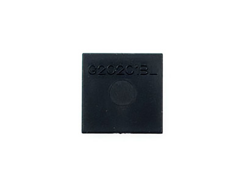 G202013L