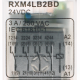 RXM4LB2BD Реле электромеханическое Schneider Electric